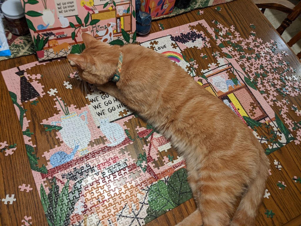 Even felines sometimes want to help with the process.